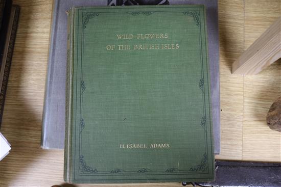 Adams, Harriet Isabel - Wild Flowers of the British Isles, 2 vols, quarto, cloth, London 1907 (2)